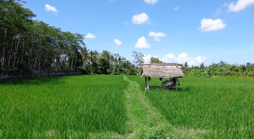 Angel House Ubud Eco Villa Exteriér fotografie